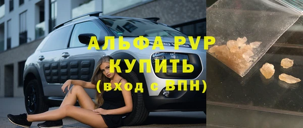 прущие грибы Верея