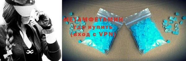 прущие грибы Верея