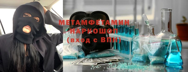 прущие грибы Верея