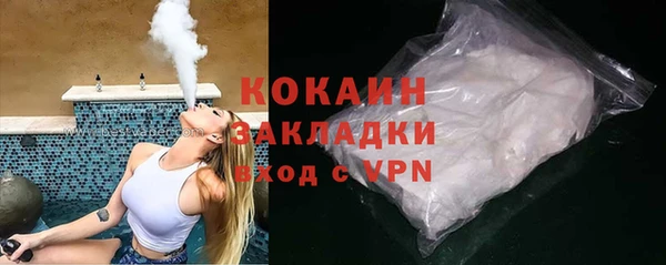прущие грибы Верея