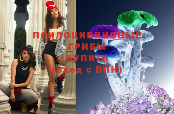 прущие грибы Верея
