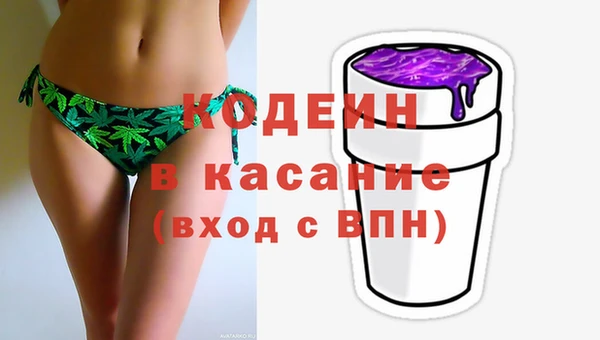 прущие грибы Верея