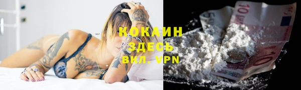 прущие грибы Верея