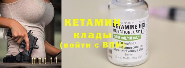 прущие грибы Верея