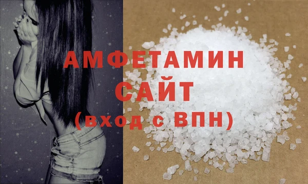 прущие грибы Верея