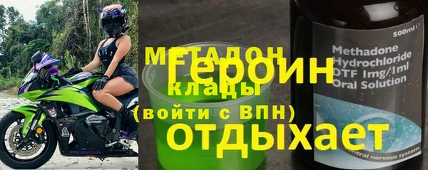 прущие грибы Верея