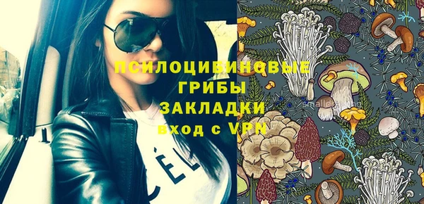 прущие грибы Верея