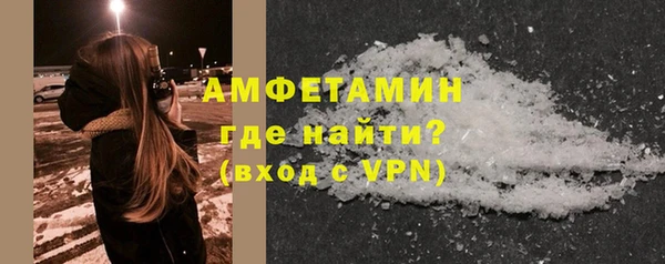 прущие грибы Верея