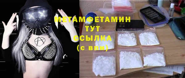 прущие грибы Верея