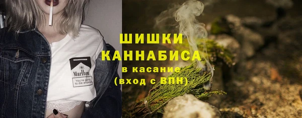 прущие грибы Верея