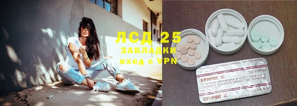 прущие грибы Верея