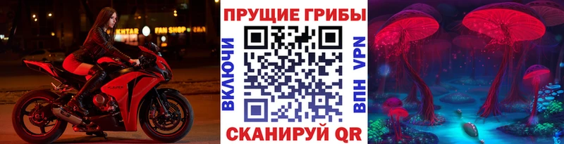 Купить закладки  Ардон  Галлюциногенные грибы Magic Shrooms 